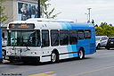York Region Transit 559-d.jpg