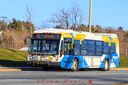 Halifax Transit 1161-a.jpg