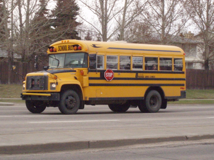 File:Briggs Bus Lines 386.jpg