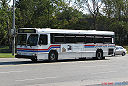 Brampton Transit 9966-a.jpg