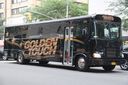 Golden Touch Transportation 35215-a.jpg