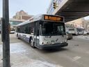 Winnipeg Transit 905 o.jpg