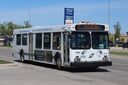 Winnipeg Transit 642-a.jpg