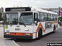 Mississauga Transit 8901.jpg