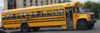 Briggs Bus Lines 117.jpg