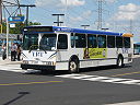 York Region Transit 009-b.jpg