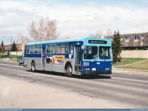 Flyer D900