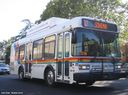 Sonoma County Transit 245-a.jpg