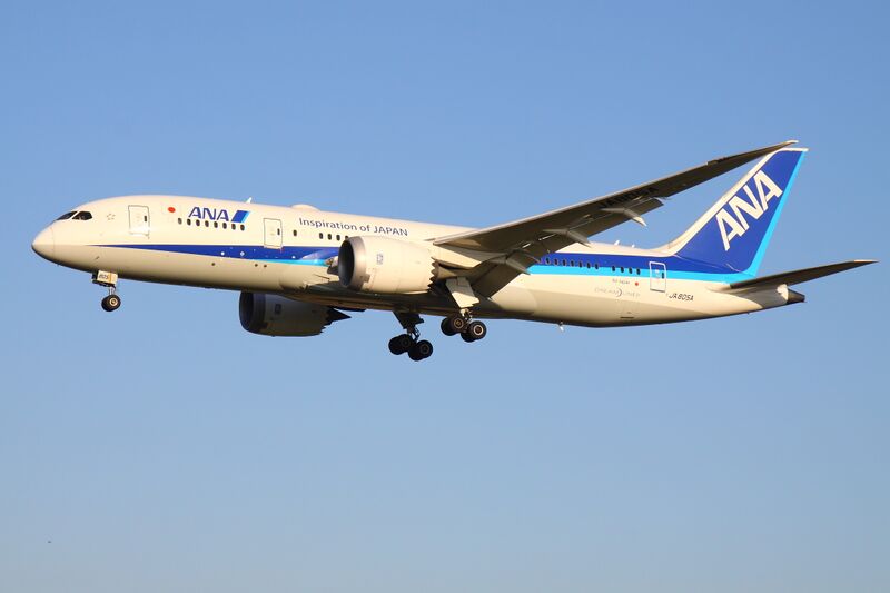 File:All Nippon Airways JA805A-a.JPG