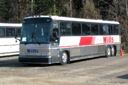 Wills Bus Lines 310-a.jpg