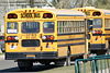 Briggs Bus Lines 156.jpg
