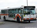Mississauga Transit 9101-a.jpg