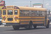 Briggs Bus Lines 248.jpg