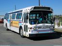 Calgary Transit 873-a.jpg