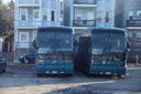 White Plains Bus Company 962 and 963-a.jpg