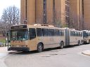 University of Colorado Buff Bus 01-a.jpg