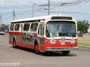 Edmonton Transit System 438-b.jpg