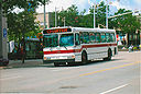Guelph Transit 142-a.jpg