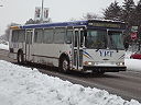 York Region Transit 006-a.jpg